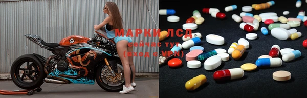 PSILOCYBIN Бородино