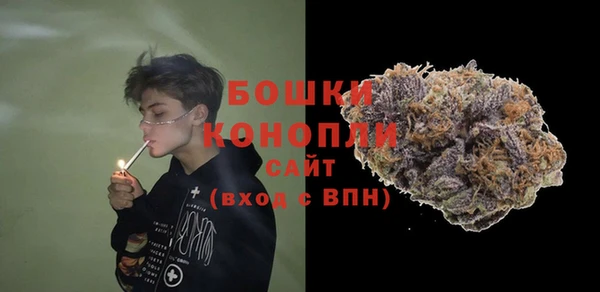 стаф Бронницы