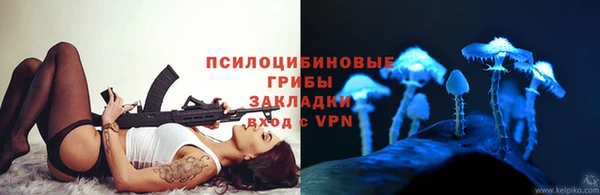 стаф Бронницы