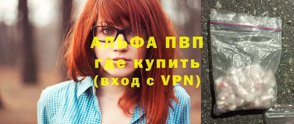 PSILOCYBIN Бородино