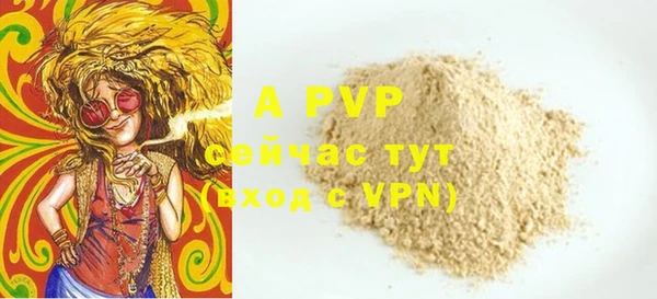 PSILOCYBIN Бородино