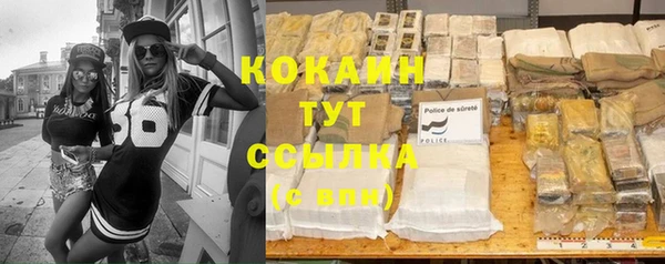 стаф Бронницы