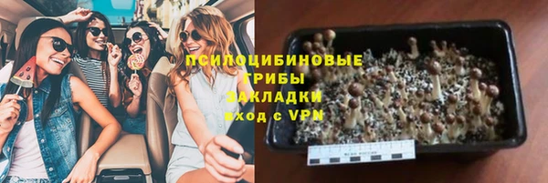стаф Бронницы